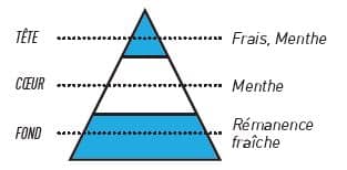 pyramide olfactive sense menthe glaciale - E-liquide Menthe Glaciale Sense