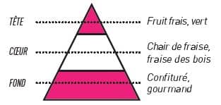 pyramide olfactive sense fraise gariguette - E-liquide Fraise Gariguette Sense