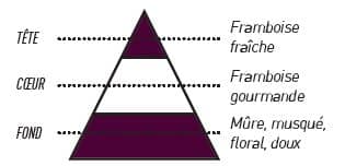 pyramide olfactive mure framboise 10 - E-liquide Mure Framboise Sense