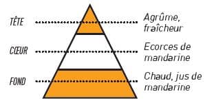 pyramide olfactive sense mandarine - E-liquide Mandarine Sense